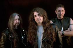 interview American Dog